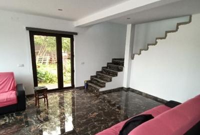 Casă individuală cu 2 camere cu Teren 500 Mp în Mlenăuți - 16