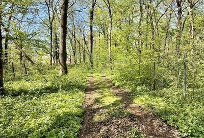 TEREN 7000 MP| DESCHIDERE 40 ML | INTRAVILAN-PADURE | POT 5% | TEREN UNIC | - 4