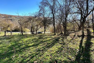 Teren Construcții intravilan de 4044 mp, în Sultanu - 1