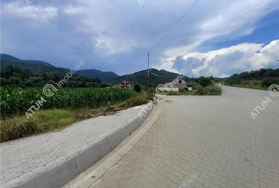 De vanzare 733 mp in Boita Sibiu - 7