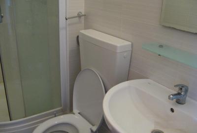 Garsonieră decomandată în Lujerului - 10