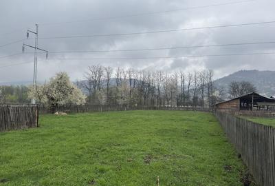 Spațiu comercial, în Dărmăneasca - 6