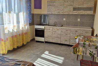 Apartament cu 2 camere decomandat în Tineretului - 7