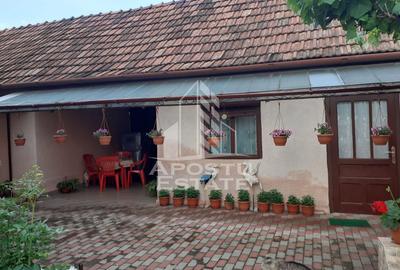 Casa individuala plus anexa, zona centrala in Faget - 3