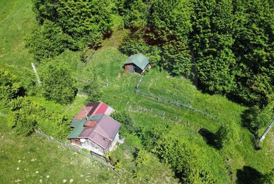 Comision 0%! Proprietate in natura, priveliste superba, S... - 1