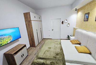 Apartament cu 2 camere decomandat, mobilat în P-ța Unirii - 7