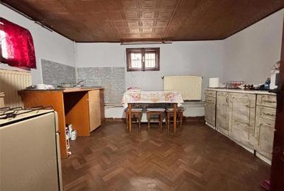 Casă cu Teren 1640 Mp în Satu Nou de Sus - 4