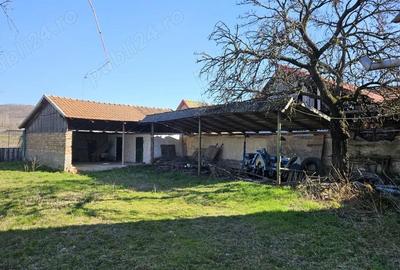 Casă cu Teren 4000 Mp în Central