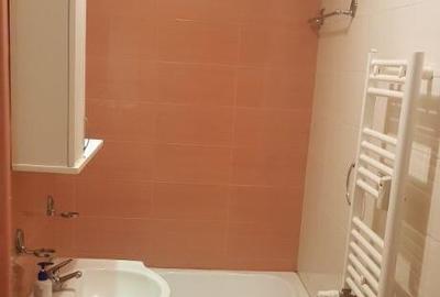 Garsoniera soseaua Mihai Bravu - 2