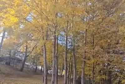 Teren intravilan Cisnadioara - 3