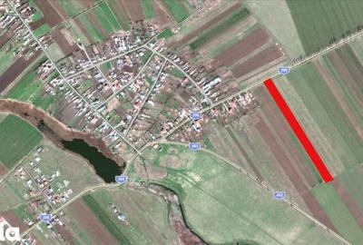 Teren de 26100 mp, în Dascălu