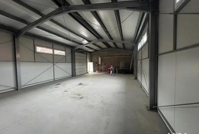 Spațiu comercial, de 320 mp, în Teliu - 1