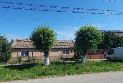 Casă cu 2 camere cu Teren 123 Mp în Cărpiniș - 3