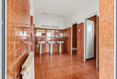 Teren Construcții intravilan de 43708 mp, în Scobâlțeni - 25