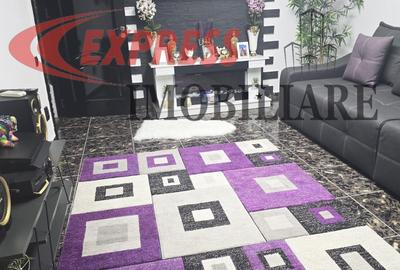 Apartament cu 2 camere decomandat în Timpuri Noi