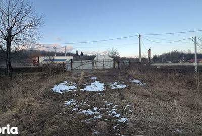 Teren de 10834 mp, în Dumbrăvești - 13