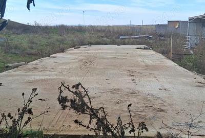 Ferma de vanzare , zona Dambu - 2