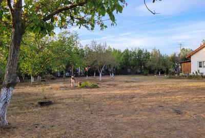 De vanzare teren intravilan 1000 mp. Corbeanca De vanzare teren intravilan 1000 mp. Corbeanca - 3