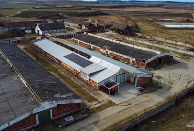 FILM! Complex agrozootehnic cu traditie, echipat + pretios potential multiplu, C - 34