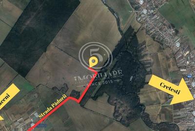 Teren de Vanzare – 6.828 mp, Șintesti, Vidra - 3