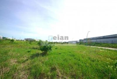Teren Construcții intravilan de 17400 mp, în Manolache - 11