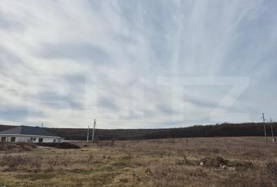 Casă cu 4 camere cu Teren 532 Mp în Corunca - 16