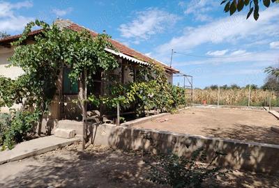 Casa de vanzare in sat LANURILE - 10