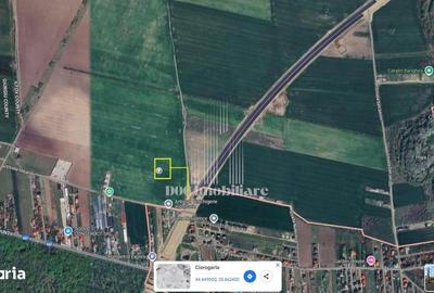 Teren de 500 mp, în Ciorogârla - 5