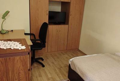 Apartament cu 2 camere decomandat în Craiovița Nouă - 7