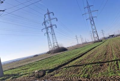 Teren de 5000 mp, în Ulmi - 1