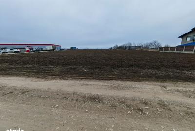Teren de 8918 mp, în Sărata - 10