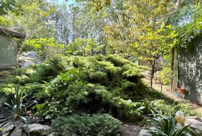 COMISION 0% - Casa D+P+M  in Oituz la 17 km de Constanta COMISION 0% - Casa D+P+M  in Oituz la 17 km de Constanta - 6