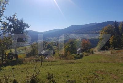 Super Oferta 5.2 euro/mp. Teren de vanzare in zona Arieseni - 2