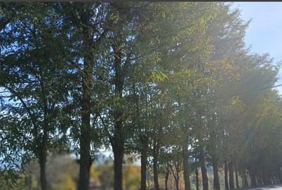 Teren intravilan zona Bran,Tohanita - 6