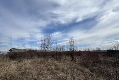 Teren extravilan de vanzare, 15.000 mp, zona Narcise II - 3