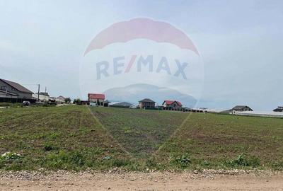 Teren de 17000 mp, în Matca - 6