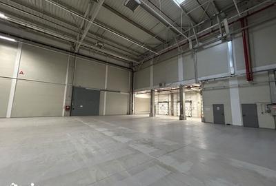 Spațiu comercial, de 1,400 mp, în Dragomirești-Vale - 3