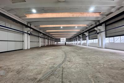 Spațiu industrial, în Tătărași - 16