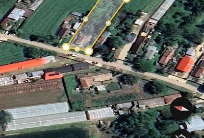 Casă cu Teren 4800 Mp în Balta Doamnei - 1