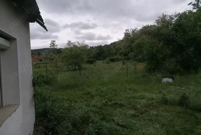 Casă cu 2 camere în Aleșd - 2