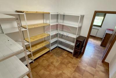 Casa superba strada Victoriei - 17