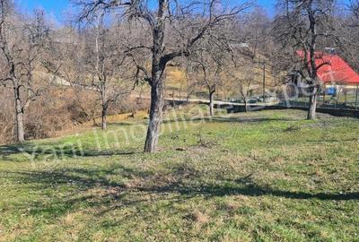 Teren de 1576 mp, în Borovinești - 8