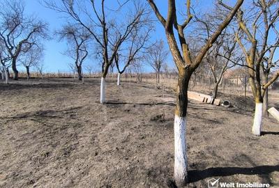 Casă individuală cu 4 camere cu Canalizare în Iris - 28