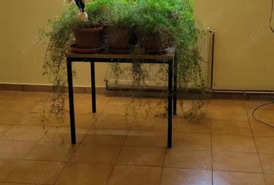 Inchiriere spatiu birou