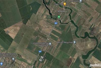 Teren de 5500 mp, în Vidra - 2