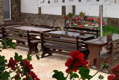 RECO Terasa Pentru  Petreceri  in Cheriu - 1