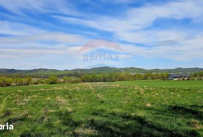 Teren de 10000 mp, în Vânători-Neamț - 5