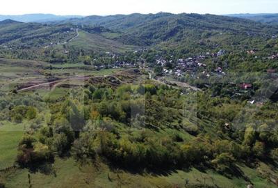 Teren extravilan, 41.631,00 mp, zona Pietrosita - 11