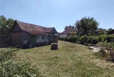 Teren de 2500 mp, în Paleu - 2