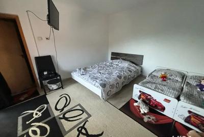 Casă cu 6 camere cu Teren 10000 Mp în Mehala - 2